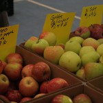 Apples from Jaeschke's Orchard, Adams, MA