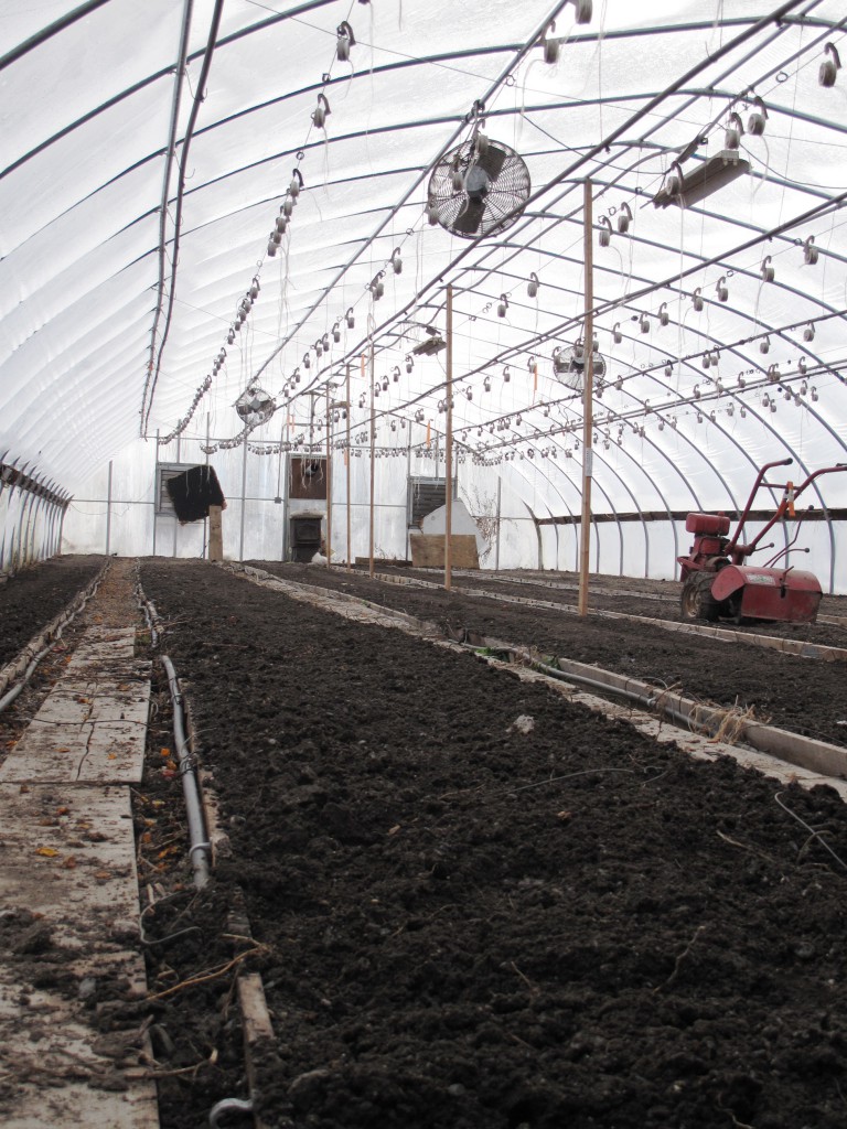 The tomato greenhouse at Peace Valley Farm, Williamstown, MA