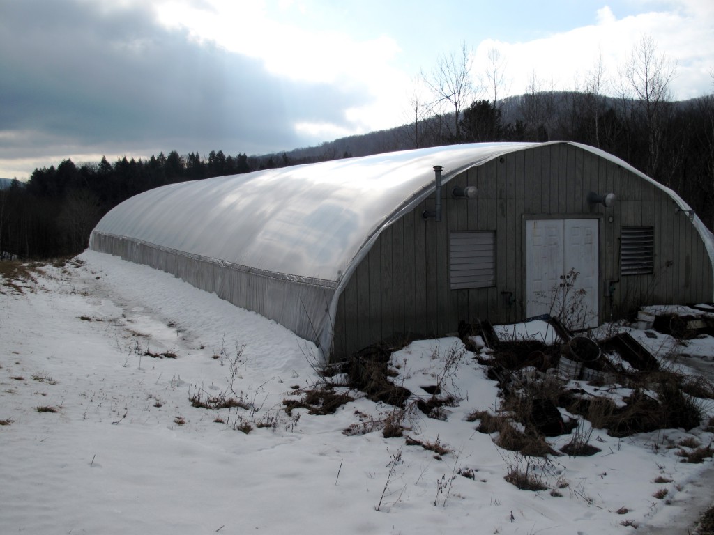 Peace Valley Farm's tomato greenhouse in the snow