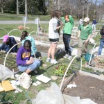 Williams sustainable workers working on a garden 