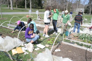 William's Sustainable Growers working in a garden