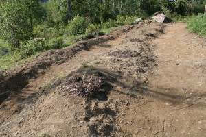 Swales, or earth mounds on contour, help to slow and sink water into the ground