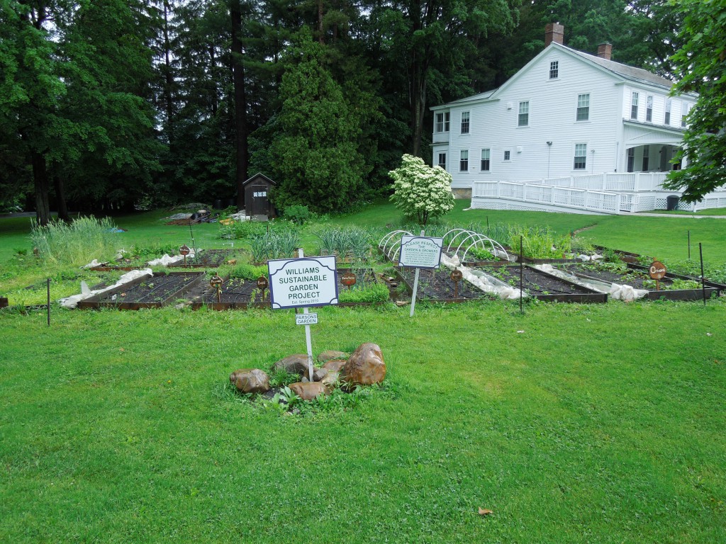 Parsons Garden on our first day