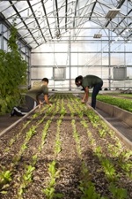 enterprise-youth-web_1