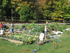garden