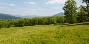 About the Exhibition - Sensing Place: Reflecting on Stone Hill