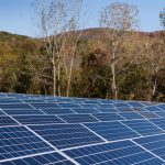 Image of solar panels in front of bare winter trees on a sunny day