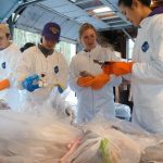 Group os students in Tyvek suits and orange gloves sort bags of trash