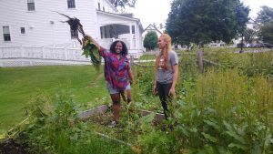 Students laugh while holding up a large weed