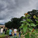 Small group standing in a garden with a cloudy sky. Sunflowers in foreground. 