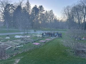 Group of people gathering in the garden on a foggy morning