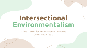 Powerpoint slide that has the words "Environmental Intersectionality" on it