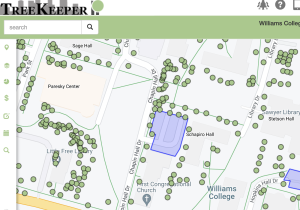 Image of Campus Map with Trees (plus link to the public facing TreeKeeper platform)