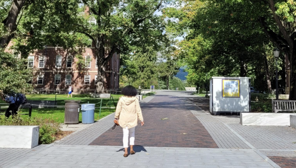 A student walks between Frosh Quad and Chapin Hall under the branches of large trees on either side.