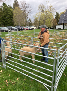 Man in beige jacket smiles as he pets a light-colored sheep in a pen