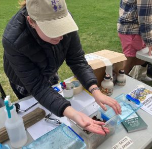 Photo from EarthFest 2023, shows Hopkins Forest Educators showing students worms