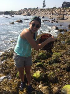 Erica Chang '17