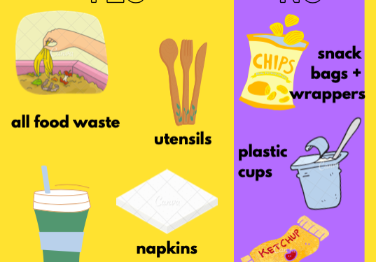 Compost graphic showing what can be composted and what cannot. Food can be composted, as can single-use products such as cups, flatware, and napkins from dining services. Chip bags, ketchup packets, and yogurt cups cannot be composted.